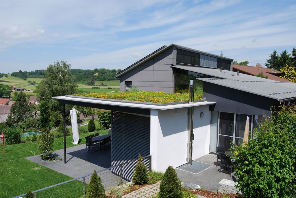 Zelené střechy zkrášlují města