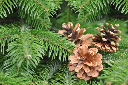 image_14616